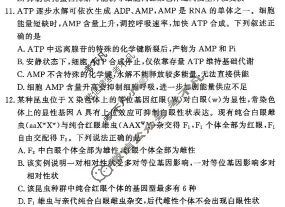 [湘豫名校联考]2026年10月高三上学期质量检测生物试题