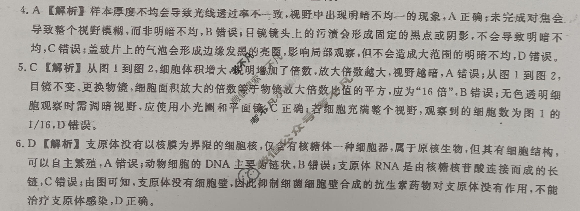 [金科大联考]河北省2026-2027学年高一年级10月联考(HB)生物答案