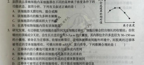 [A10联盟]2027届高三上学期10月学情检测生物试题