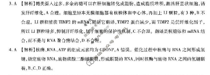 重庆市南开中学高2027届高三质量检测(10月)生物答案