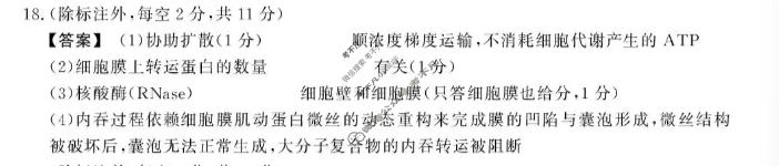 [鼎尖教育]2026-2027学年高三年级10月联考生物B答案