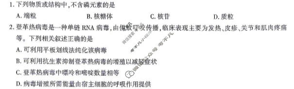 重庆市南开中学高2027届高三质量检测(10月)生物试题