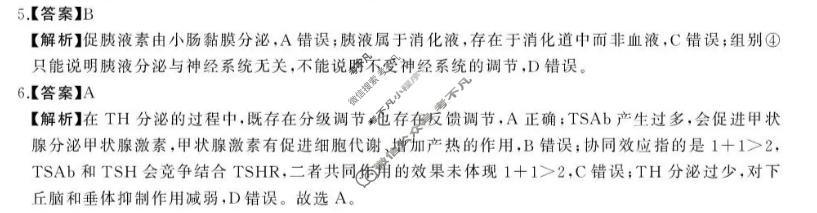 湖南省2026年下学期高二校内检测(10月)生物答案