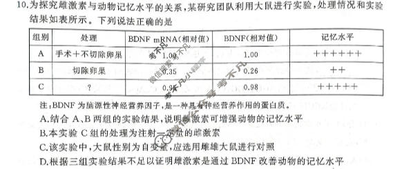 湖南省2026年下学期高二校内检测(10月)生物试题