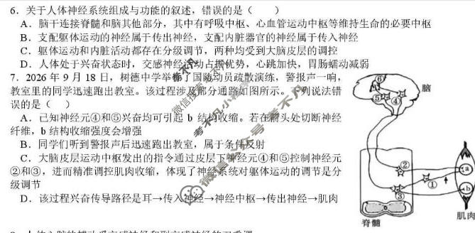 树德中学高2025级高二上学期10月阶段性测试生物试题