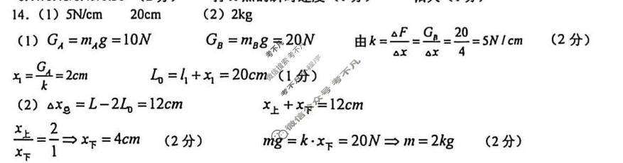树德中学高2026级高一上学期10月阶段性测试物理答案