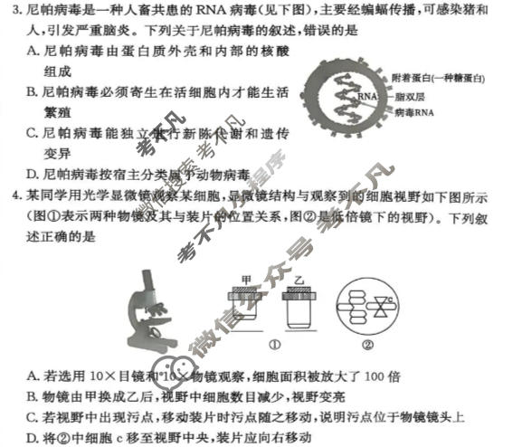 [炎徳英才名校联合体]2027届高一10月联考(26秋L)生物试题