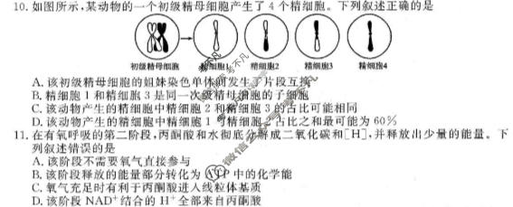 [点石联考]辽宁省2026-2027学年高三年级上学期巩固训练生物试题