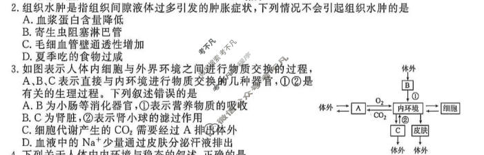[点石联考]辽宁省2026-2027学年高二年级上学期巩固训练生物试题