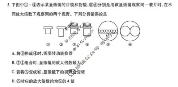[天一大联考]湖南省2026-2027学年高一10月联考(HUN202610)生物试题