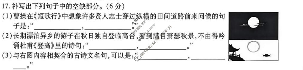 [点石联考]辽宁省2026-2027学年高一年级上学期巩固训练语文试题