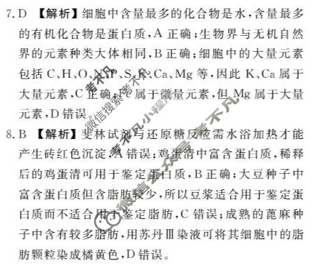 [点石联考]辽宁省2026-2027学年高一年级上学期巩固训练生物答案