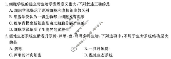 [点石联考]辽宁省2026-2027学年高一年级上学期巩固训练生物试题