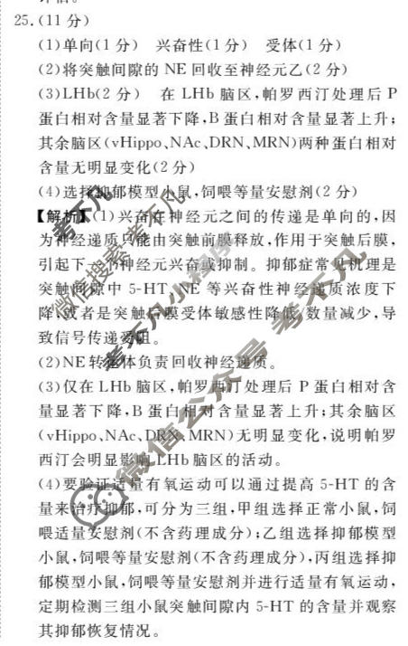 [点石联考]辽宁省2026-2027学年高二年级上学期巩固训练生物答案