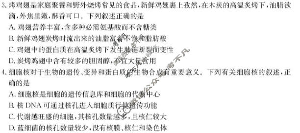 黑龙江省2026-2027学年度高三年级上学期10月份月考(27-X-025C)生物试题