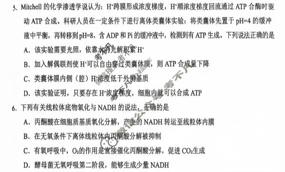 湖北省云学联盟2026年高三年级阶段训练(10月)生物试题