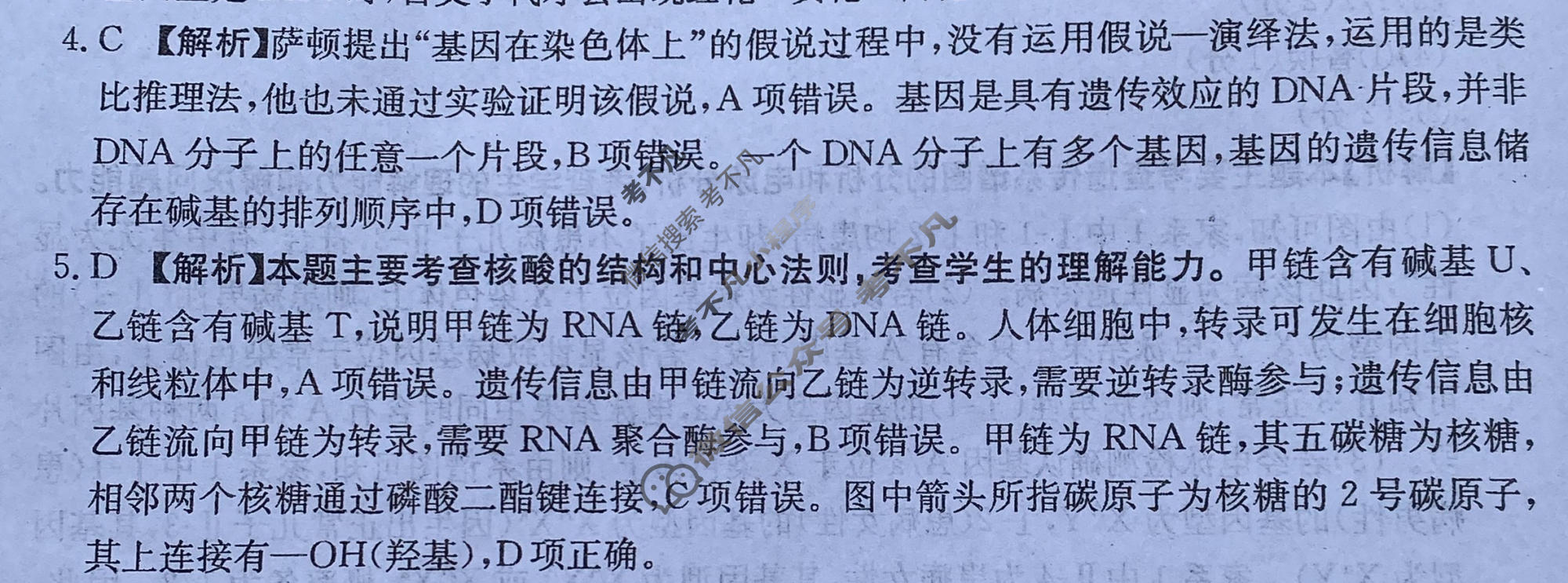 河南省金太阳2026-2027学年高三上学期10月联考(二)(10.10)生物C2答案